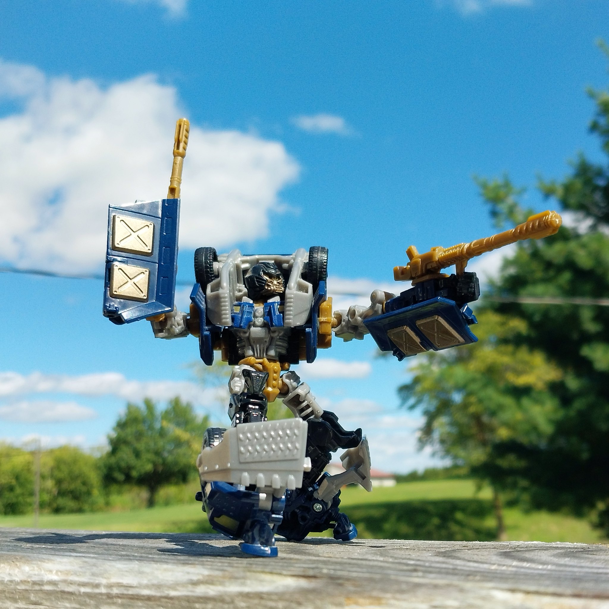 To Arms with Two Arms