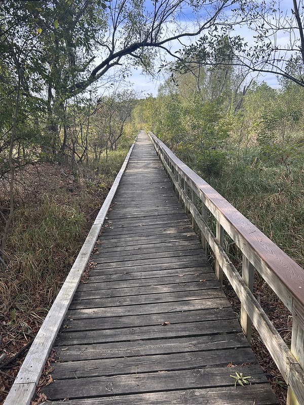 Marsh Bridge at Oxley Nature Center"