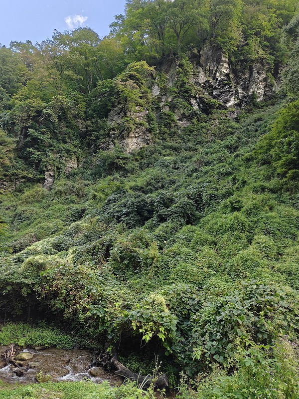 IMG20260924152657