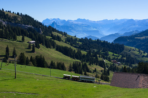 Rigi