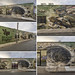Danielle Weber Northcote 2026-09-25 (R5_99A7719,29,34,39,44)