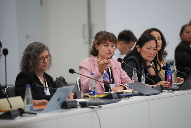 Landscape Alliance at UNCCD COP17 (55549756953)