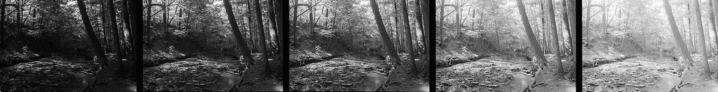 Extreme Film Test No. 11 - Kodak Tri-X 400