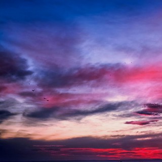 Flickr photo: Sunset Art.....