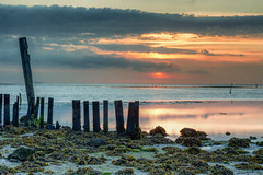 De Cocksdorp / Texel