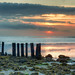 De Cocksdorp / Texel