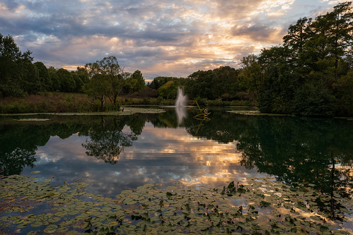 Crosby Lake at Toledo Botanical Garden