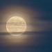 My full moon tonight
