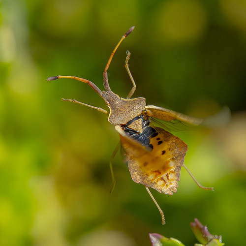 Release the energy | by macro_action