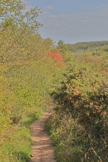 Flickr photo: Croft Hill 20th September 2026