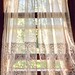 269 | 365 | Sep 26 The Grandma Chronicles | Through The Curtain |