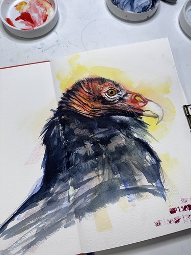 New sketchbook