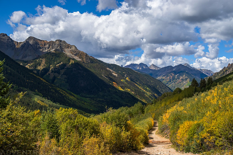 Ophir Pass Road