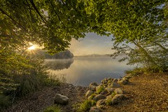 morgens am See