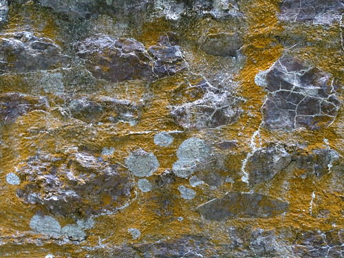 Natures Graffiti | by stuforky