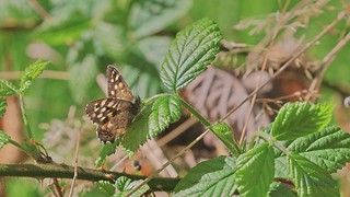 Flickr photo: Croft Hill 20th September 2026