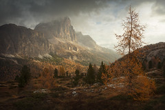 [ ... the whisper of fall ]