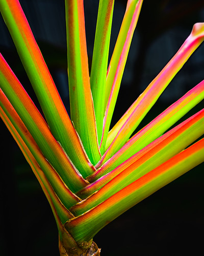 Split Spectrum