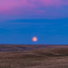 Prairie Moonrise (September 2026)
