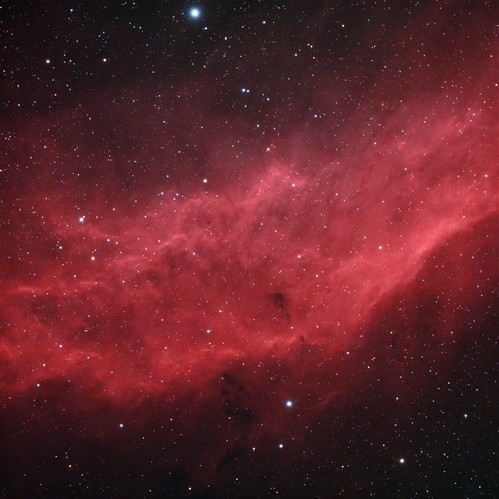 The California Nebula