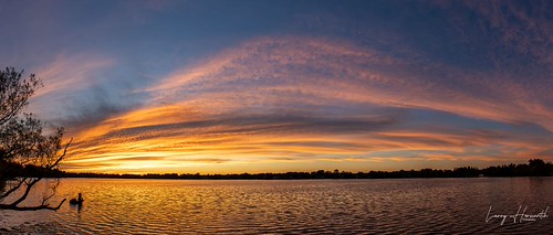 Lake Wilcox Sunset | by Larry Herscovitch