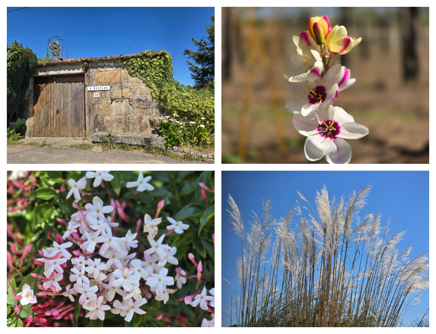 Sunshine and blue skies make everything a lot more vibrant and colourful.