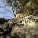 Larrabee State Park 2