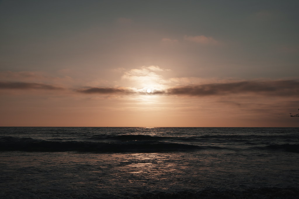 20260808_scrippshenge_033_A7501788
