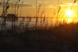Flickr photo: Thanksgiving at Gulf Shores