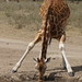 Kenya