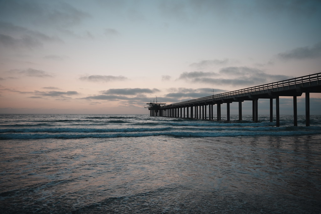 20260808_scrippshenge_061_A7501980