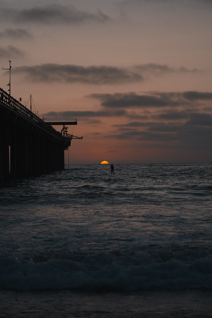 20260808_scrippshenge_059_A7501957