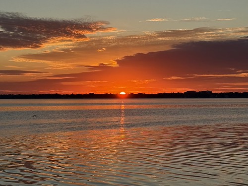 IMG_0866