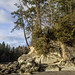 Larrabee State Park 1
