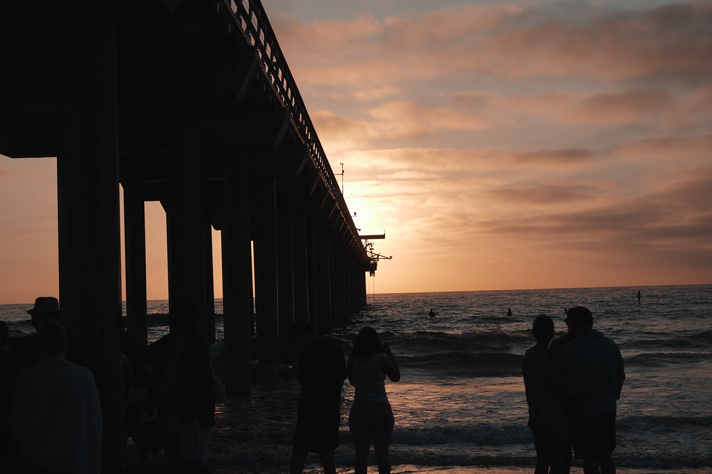20260808_scrippshenge_042_A7501818