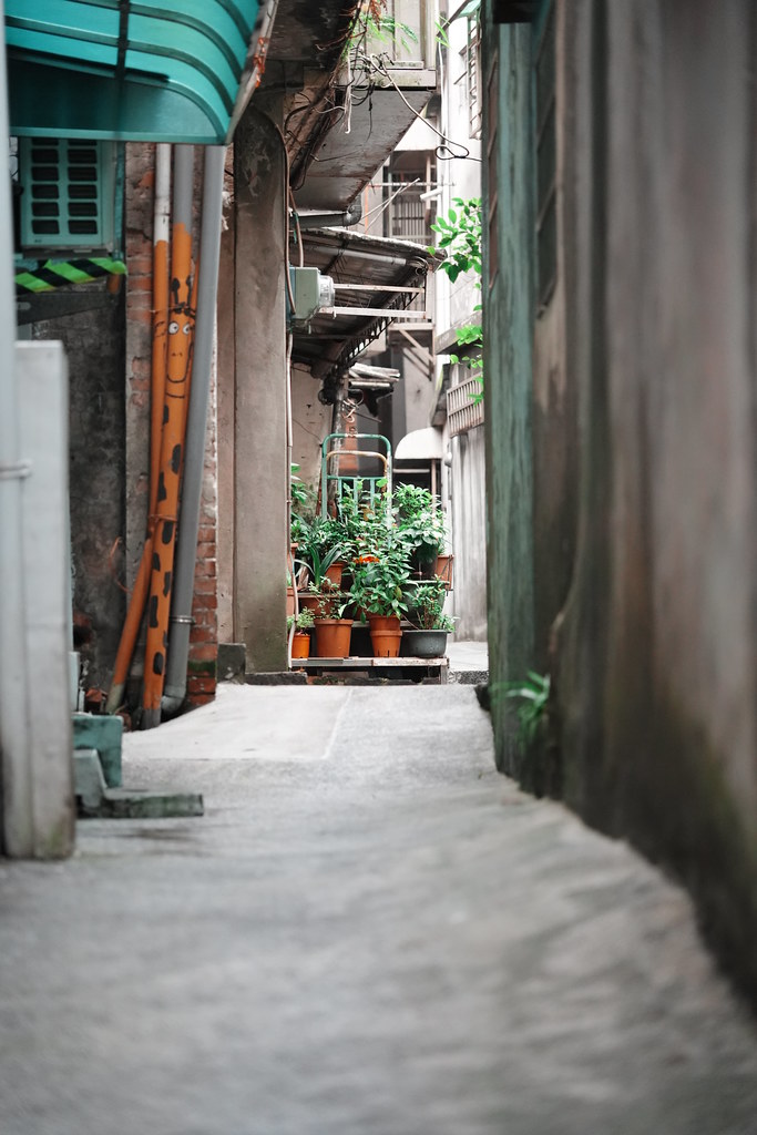 20260626_九份_東北_031_A7506039