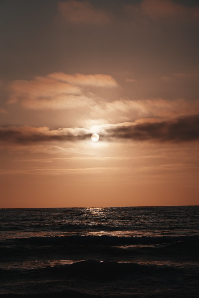 20260808_scrippshenge_036_A7501799