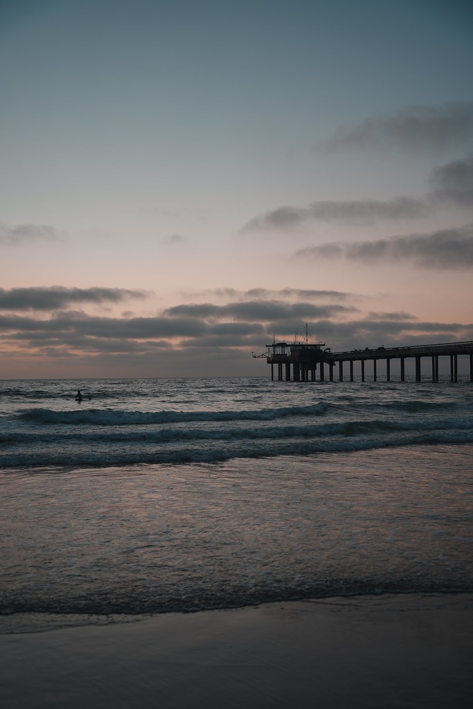 20260808_scrippshenge_067_A7501996