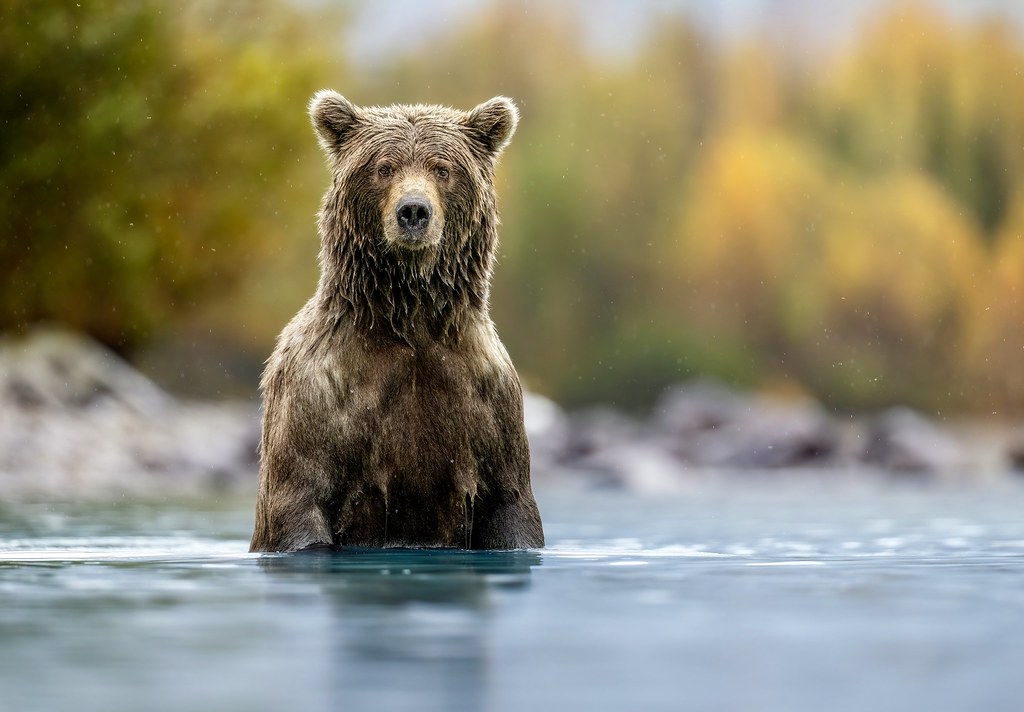 Taking a Dip…