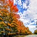 The road between Long Lake and Newcomb · September 26, 2026 · Norma Taylor via NCPR · 3 saved views
