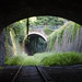 silent tunnel