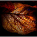 Oui l'automne est bien là...