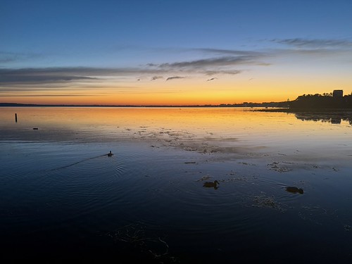 IMG_0878