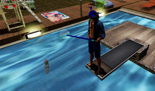 Pool cleaner
