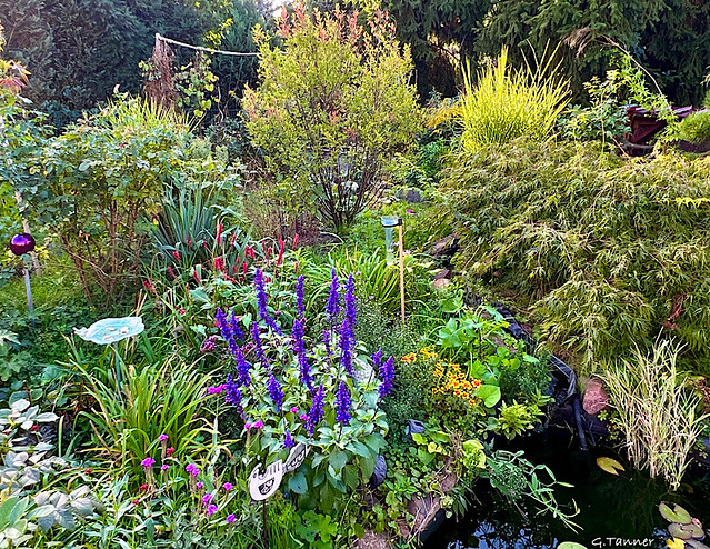 Herbstgarten