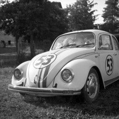 Happy Herbie - Sologno (RE) - August 2026  (由  cava961