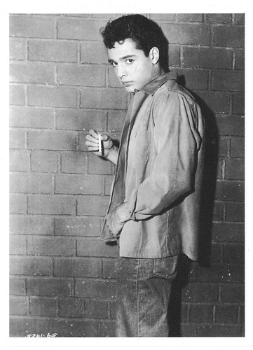 Sal Mineo