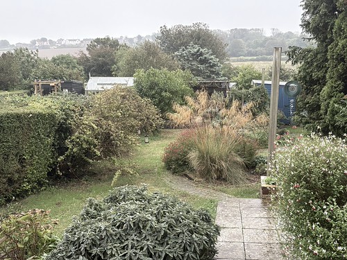 More rain