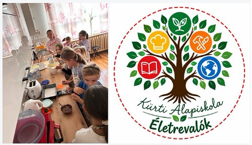 Hivatkozás: https://flic.kr/s/aHBqjD6uNM