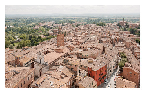 Siena, from the Torre del Mangia